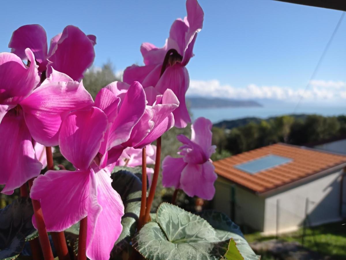 Apartamento Le Vigne Di Lenf Porto Venere Exterior foto